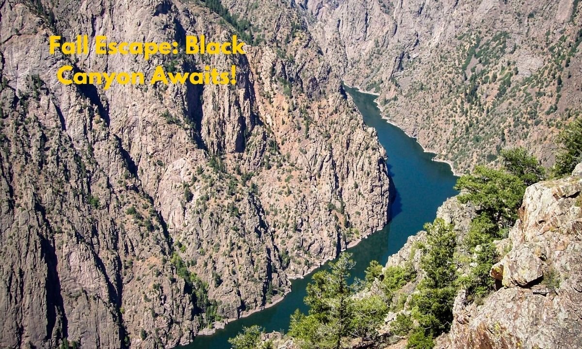 Canyon of the Gunnison